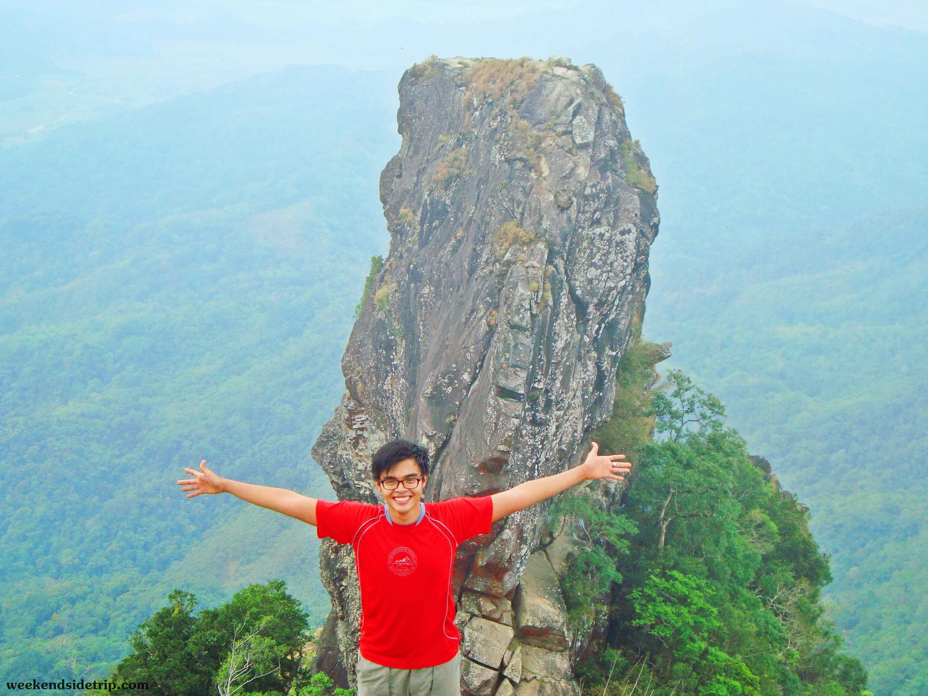 pico1