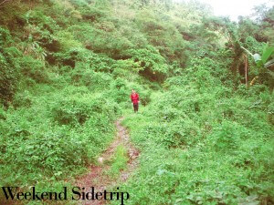 malarayat2 Green Field