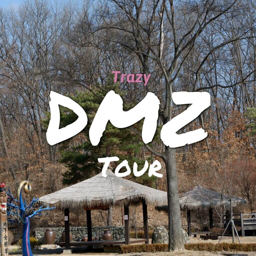 Experience DMZ Tour with Trazy